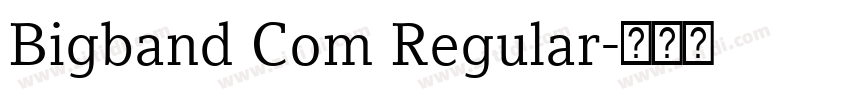 Bigband Com Regular字体转换